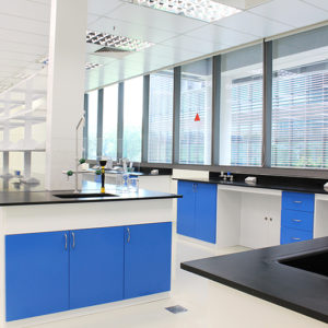 laboratory cabinets